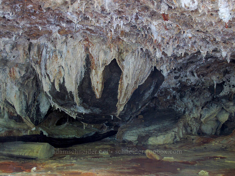 travertine formations [Umpqua Hot Springs, Umpqua National Forest, Douglas County, Oregon]