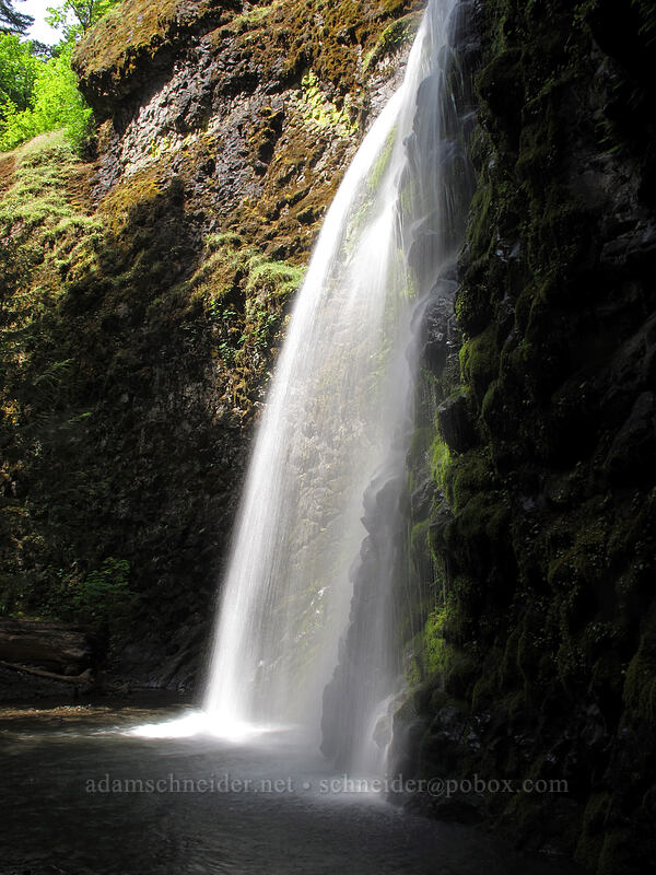 Fall Creek Falls [Fall Creek Falls Trail, Umpqua National Forest, Douglas County, Oregon]