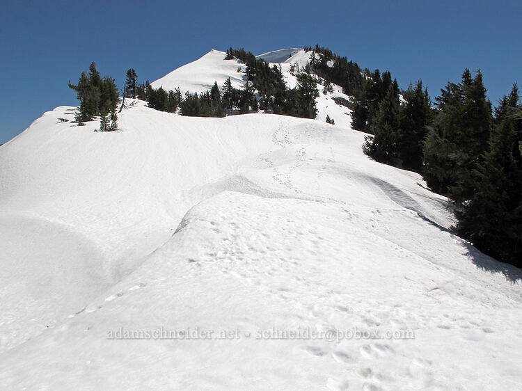 Garfield Peak's summit [Garfield Peak Trail, Crater Lake National Park, Klamath County, Oregon]