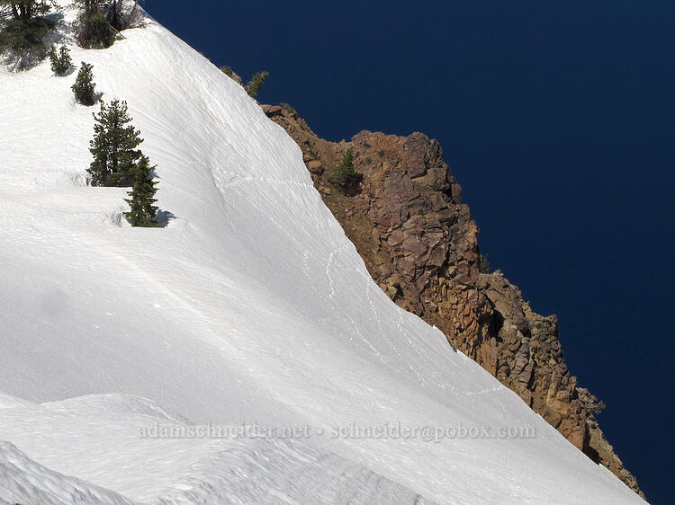 animal tracks in the snow [Garfield Peak Trail, Crater Lake National Park, Klamath County, Oregon]