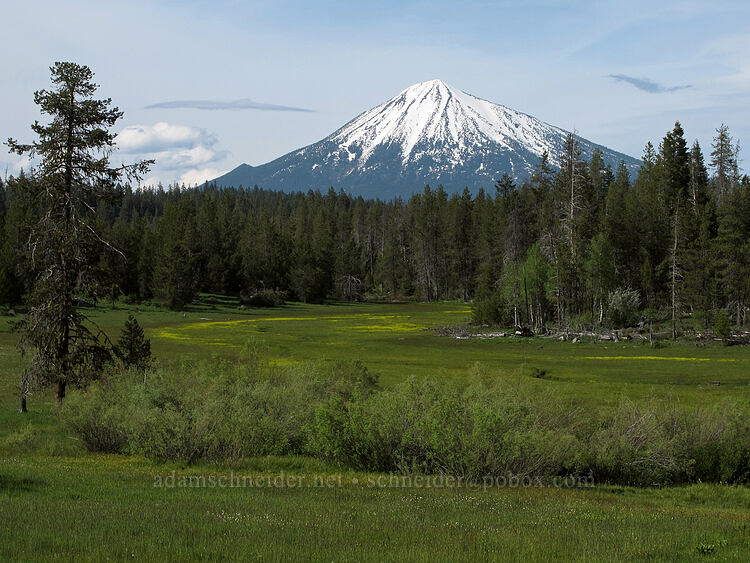 Mt. McLoughlin & Deadwood Prairie [Dead Indian Memorial Road, Rogue River-Siskiyou National Forest, Jackson County, Oregon]