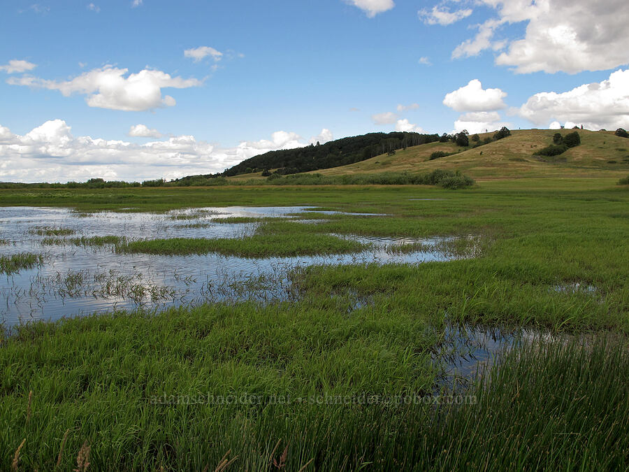 Taverner's Marsh & Basket Butte [Baskett Slough NWR, Polk County, Oregon]