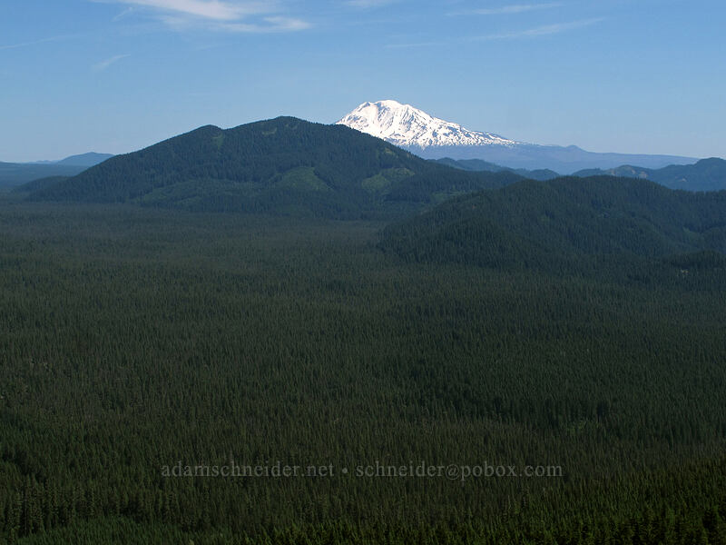 Little Huckleberry Mountain & Mt. Adams [Grassy Knoll Trail, Gifford Pinchot National Forest, Skamania County, Washington]