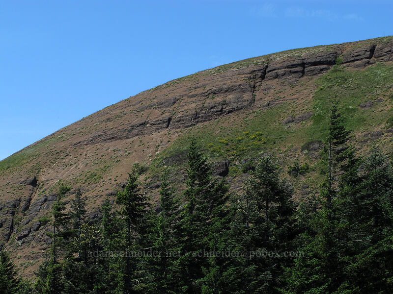 Grassy Knoll [Grassy Knoll Trail, Gifford Pinchot National Forest, Skamania County, Washington]