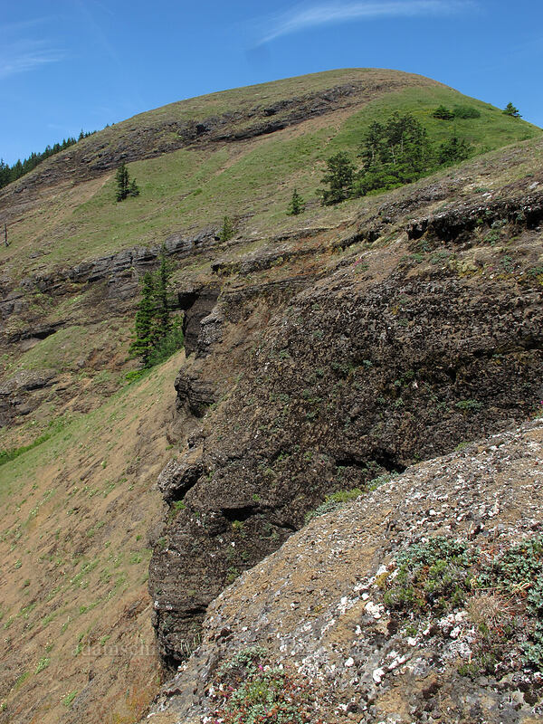 Grassy Knoll [Grassy Knoll, Gifford Pinchot National Forest, Skamania County, Washington]