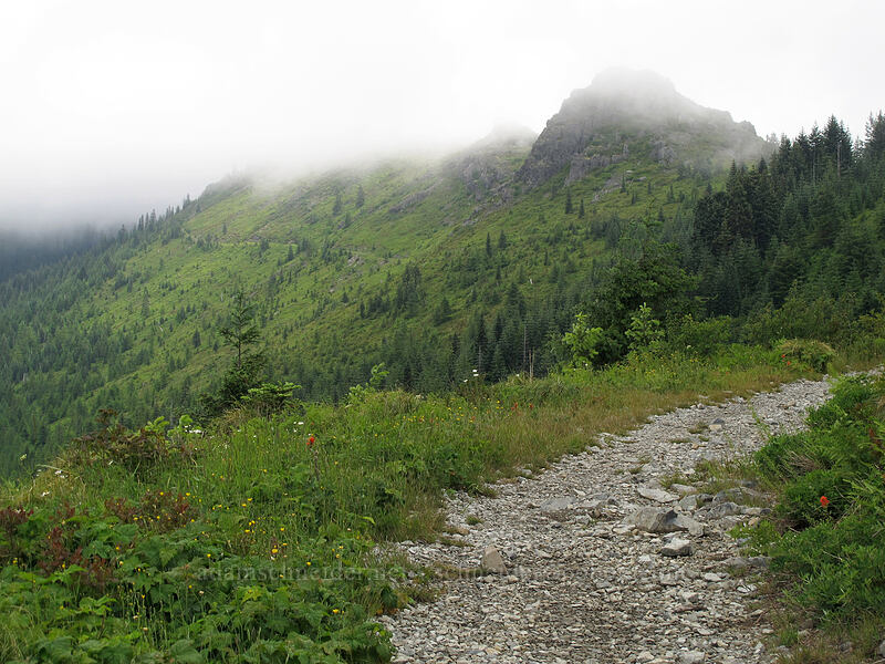 Pyramid Rock in the clouds [Grouse Vista Trail, Gifford Pinchot National Forest, Clark County, Washington]