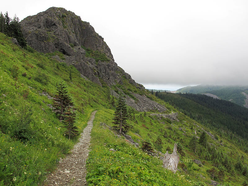 Pyramid Rock [Grouse Vista Trail, Gifford Pinchot National Forest, Clark County, Washington]