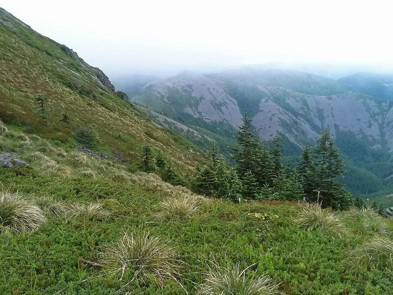 Little Baldy in the clouds [Silver Star Mountain, Gifford Pinchot National Forest, Skamania County, Washington]