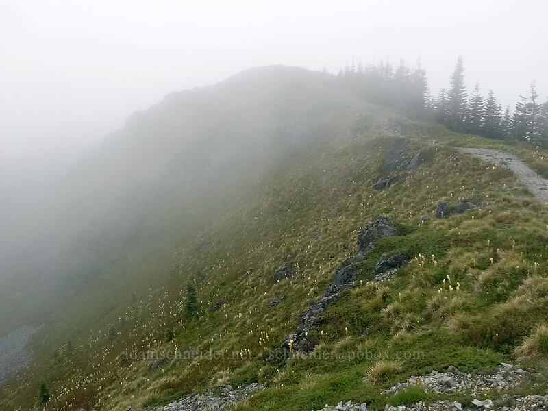 the south summit, obscured by clouds [Silver Star Mountain summit, Gifford Pinchot National Forest, Skamania County, Washington]