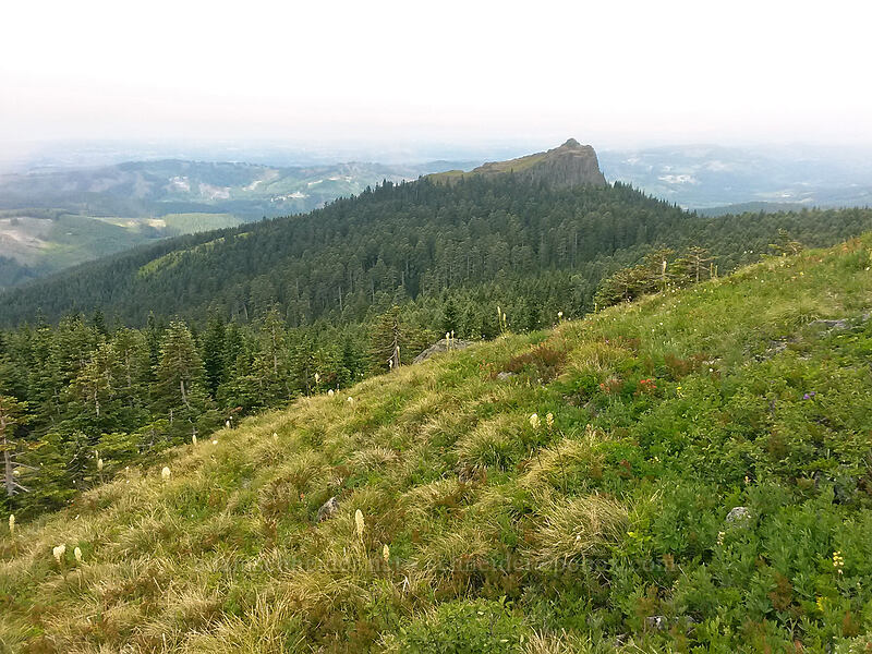 Sturgeon Rock [Silver Star Mountain summit, Gifford Pinchot National Forest, Skamania County, Washington]