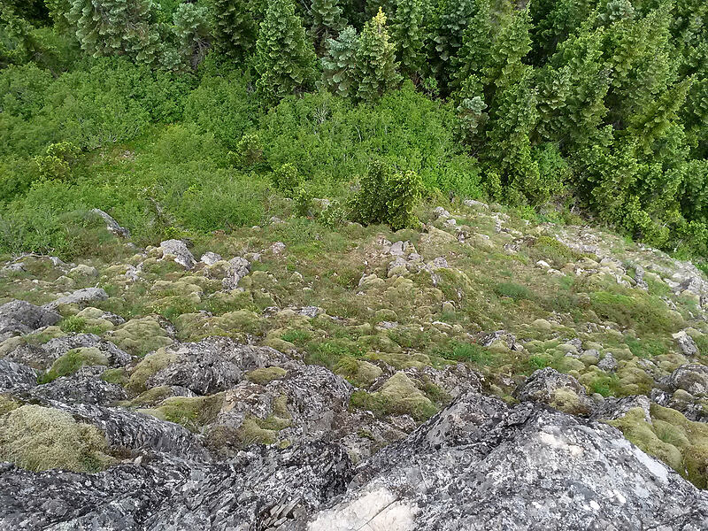 north side of Sturgeon Rock [Sturgeon Rock, Gifford Pinchot National Forest, Skamania County, Washington]