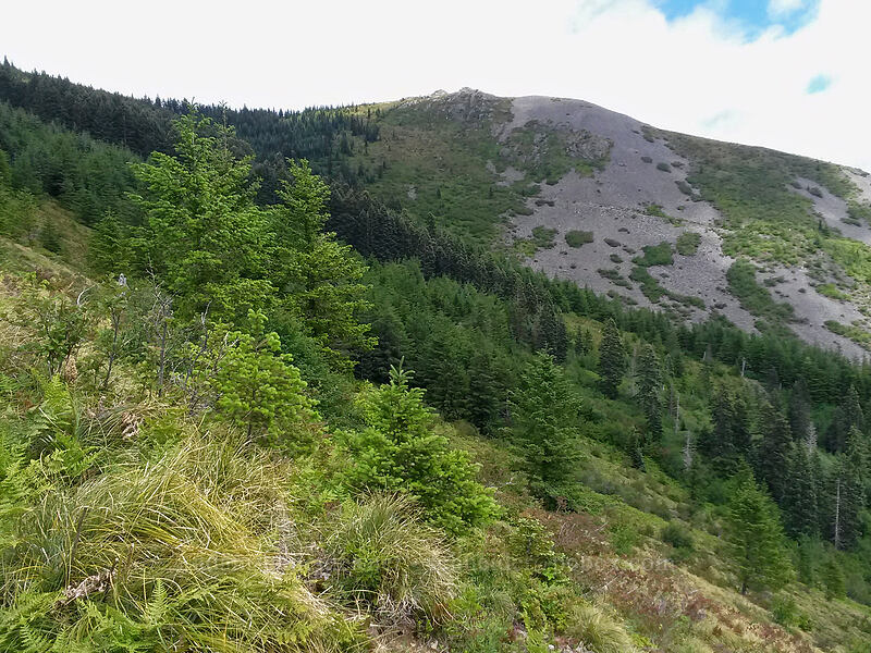 Indian Pits ridge [near Pyramid Rock, Gifford Pinchot National Forest, Skamania County, Washington]