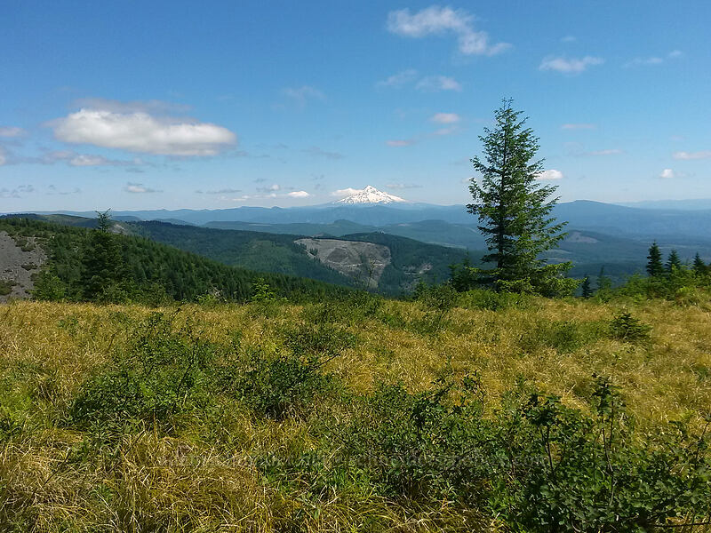 Mount Hood [near Pyramid Rock, Gifford Pinchot National Forest, Clark County, Washington]