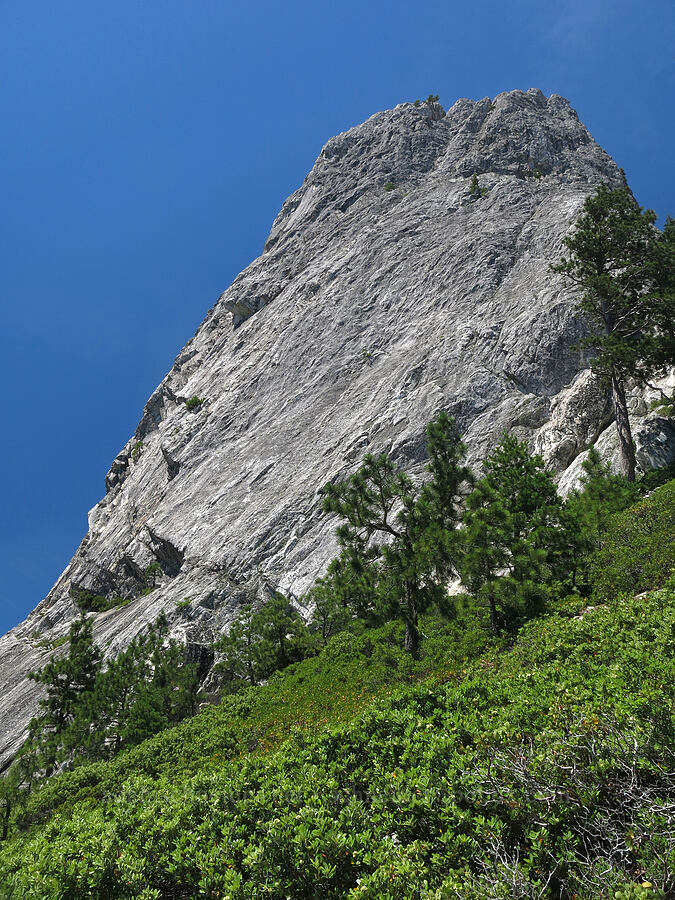 Cosmic Wall [Mt. Hubris, Castle Crags Wilderness, Shasta County, California]