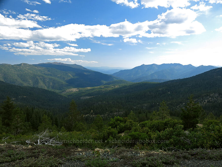 view to the southwest [Forest Road 26, Shasta-Trinity National Forest, Trinity County, California]