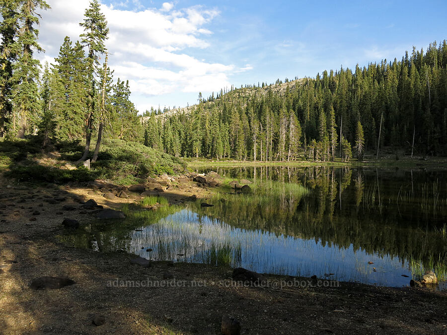 Upper Gumboot Lake [Upper Gumboot Lake, Shasta-Trinity National Forest, Siskiyou County, California]