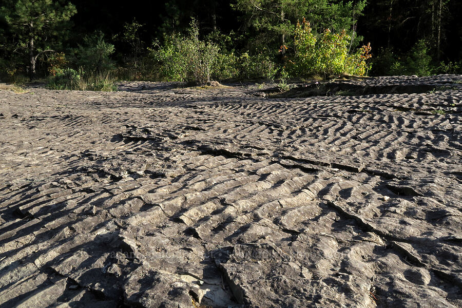 ripple marks on sedimentary rocks [Kootenai Falls, Lincoln County, Montana]