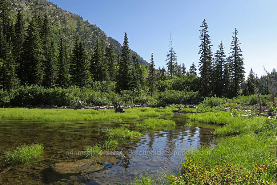 wetlands [Leigh Lake Trail, Cabinet Mountains Wilderness, Lincoln County, Montana]