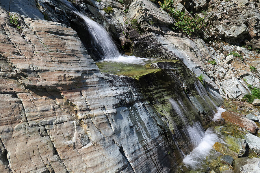 trailside cascade [above Leigh Lake, Cabinet Mountains Wilderness, Lincoln County, Montana]