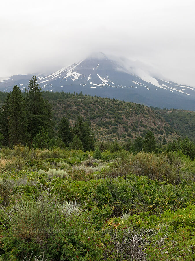 Shastina & rain clouds [Big Springs Road, Siskiyou County, California]