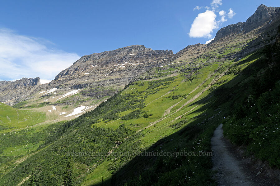 Garden Wall [Highline Trail, Glacier National Park, Flathead County, Montana]