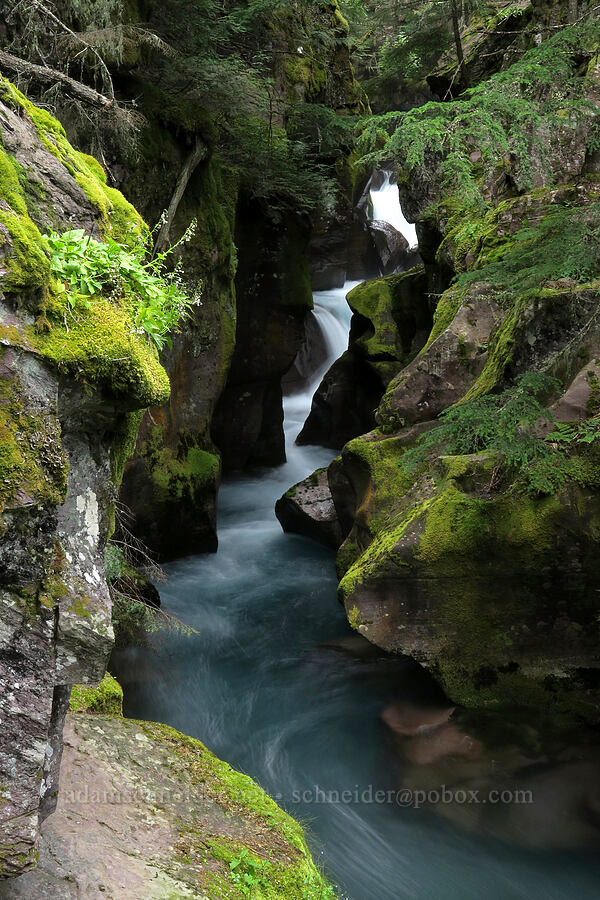 Avalanche Gorge [Trail of the Cedars, Glacier National Park, Flathead County, Montana]