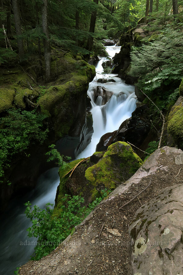 Avalanche Gorge [Avalanche Lake Trail, Glacier National Park, Flathead County, Montana]