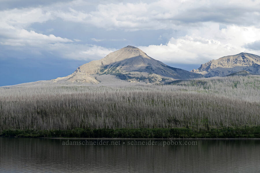 Divide Mountain [Going-to-the-Sun Road, Glacier National Park, Glacier County, Montana]