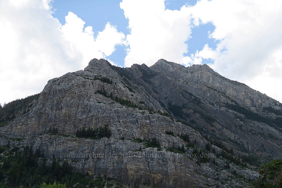 Mt. Crandell (Bear's Hump) [Waterton Townsite, Waterton Lakes National Park, Alberta, Canada]