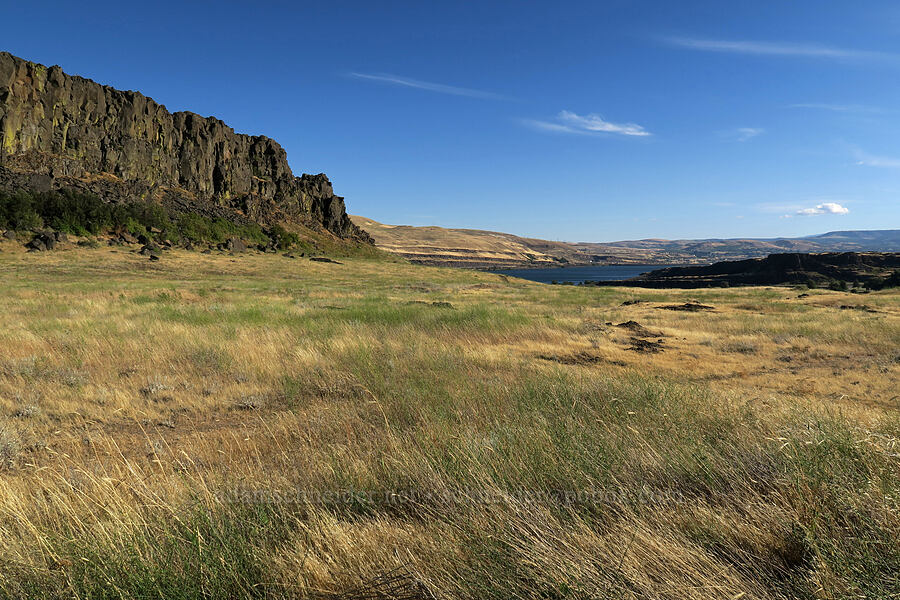 Horsethief Butte & grasslands [Horsethief Butte Trail, Columbia Hills State Park, Klickitat County, Washington]
