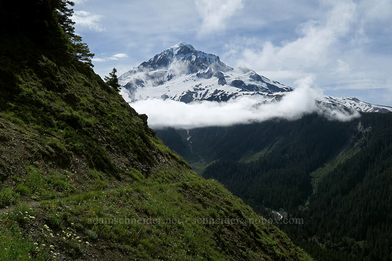 Mount Hood & clouds [Bald Mountain, Mt. Hood Wilderness, Clackamas County, Oregon]
