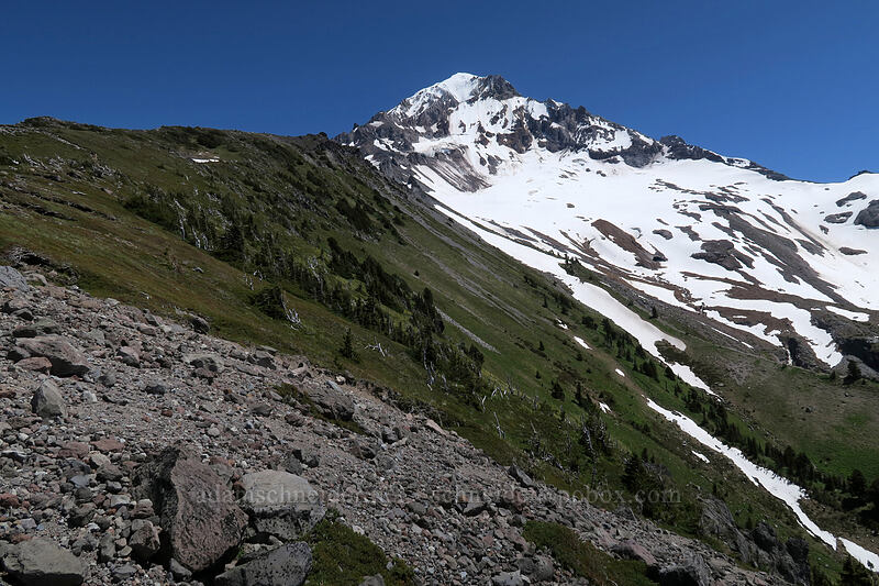 Mount Hood [McNeil Point, Mt. Hood Wilderness, Clackamas County, Oregon]