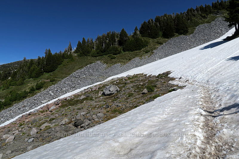trail across snowfields [McNeil Point Trail, Mt. Hood Wilderness, Hood River County, Oregon]