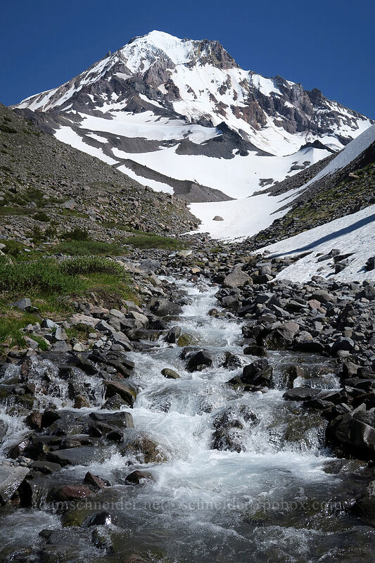 Mount Hood & Glisan Creek [Glisan Creek, Mt. Hood Wilderness, Hood River County, Oregon]