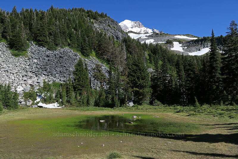 pond below McNeil Point [Timberline Trail, Mt. Hood Wilderness, Hood River County, Oregon]