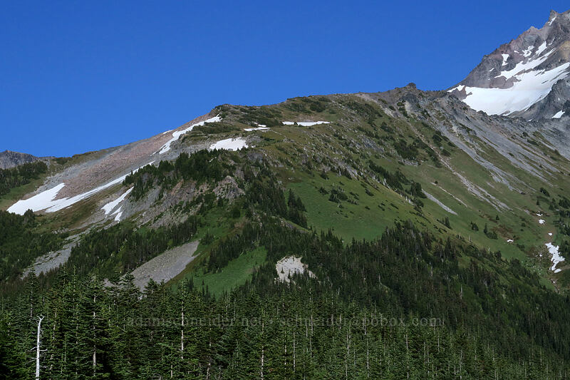 McNeil Point [Bald Mountain, Mt. Hood Wilderness, Clackamas County, Oregon]