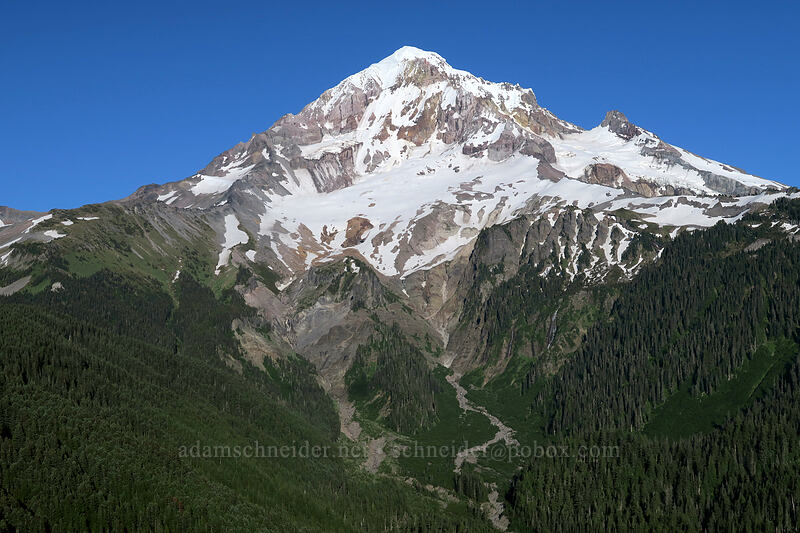 Mount Hood [Bald Mountain, Mt. Hood Wilderness, Clackamas County, Oregon]