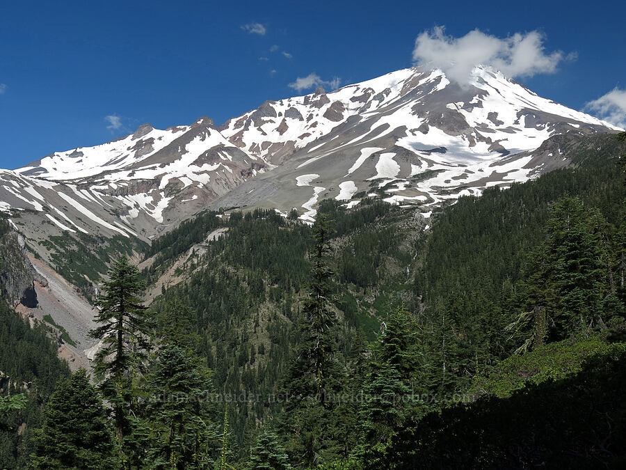 Mt. Shasta [Clear Creek Trail, Mount Shasta Wilderness, Siskiyou County, California]