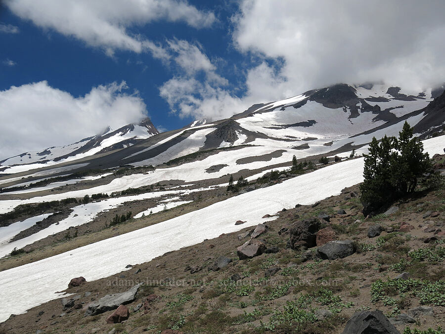 Mt. Shasta & clouds [Clear Creek Trail, Mount Shasta Wilderness, Siskiyou County, California]