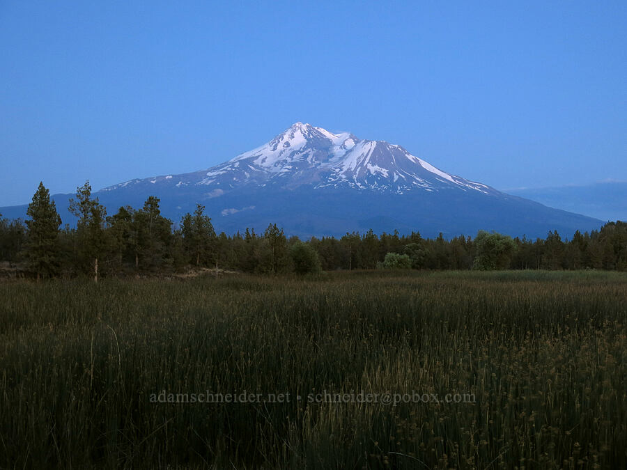 Mt. Shasta after sunset [99-97 Cutoff Road, Siskiyou County, California]