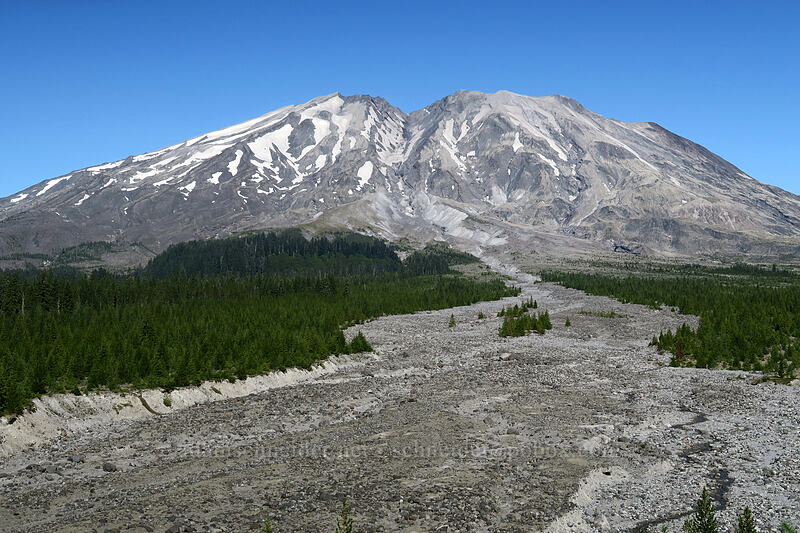 Mt. St. Helens & a lahar deposit [Ape Canyon Trail, Mt. St. Helens National Volcanic Monument, Skamania County, Washington]