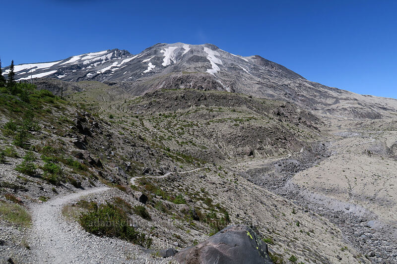 Mt. St. Helens [Ape Canyon Trail, Mt. St. Helens National Volcanic Monument, Skamania County, Washington]