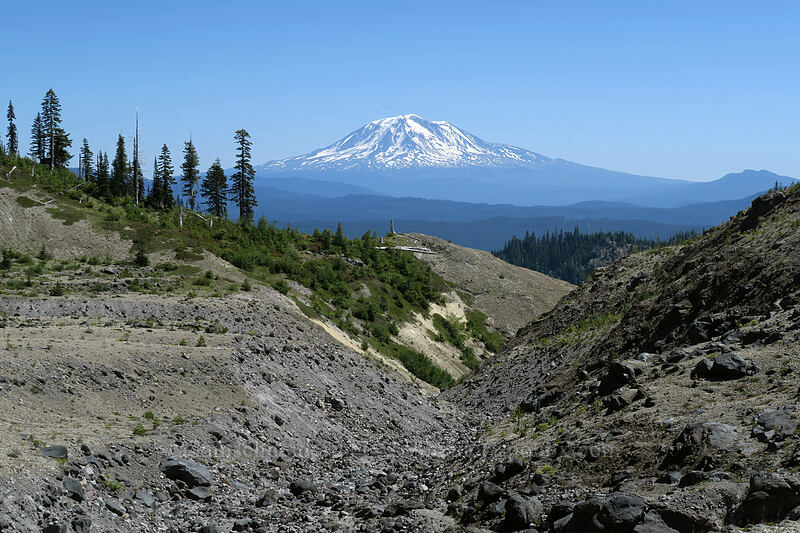 Ape Canyon & Mt. Adams [Ape Canyon Trail, Mt. St. Helens National Volcanic Monument, Skamania County, Washington]