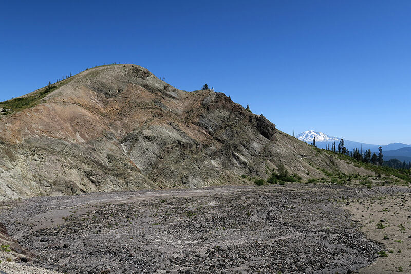 Pumice Butte & Mt. Adams [Ape Canyon Trail, Mt. St. Helens National Volcanic Monument, Skamania County, Washington]
