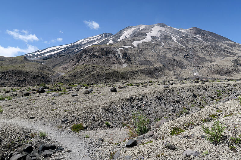 Mt. St. Helens [Ape Canyon Trail, Mt. St. Helens National Volcanic Monument, Skamania County, Washington]