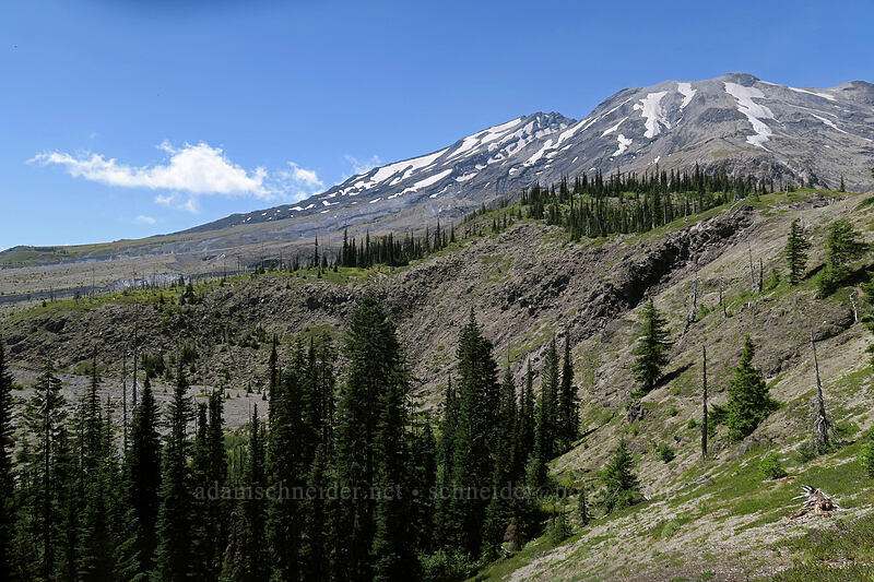 Mt. St. Helens [Ape Canyon Trail, Mt. St. Helens National Volcanic Monument, Skamania County, Washington]
