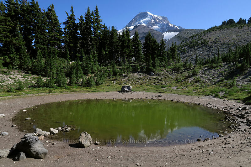 Dollar Lake & Mt. Hood [Dollar Lake Trail, Mt. Hood Wilderness, Hood River County, Oregon]