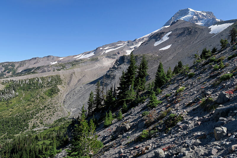 Elk Cove, Mt. Hood, & Barrett Spur [Elk Cove, Mt. Hood Wilderness, Hood River County, Oregon]
