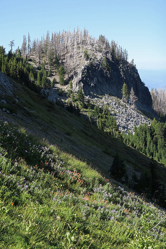 cliffs above Elk Cove [Elk Cove, Mt. Hood Wilderness, Hood River County, Oregon]