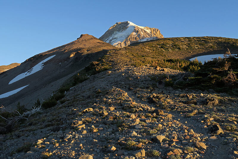 Barrett Spur & Mt. Hood [above Elk Cove, Mt. Hood Wilderness, Hood River County, Oregon]